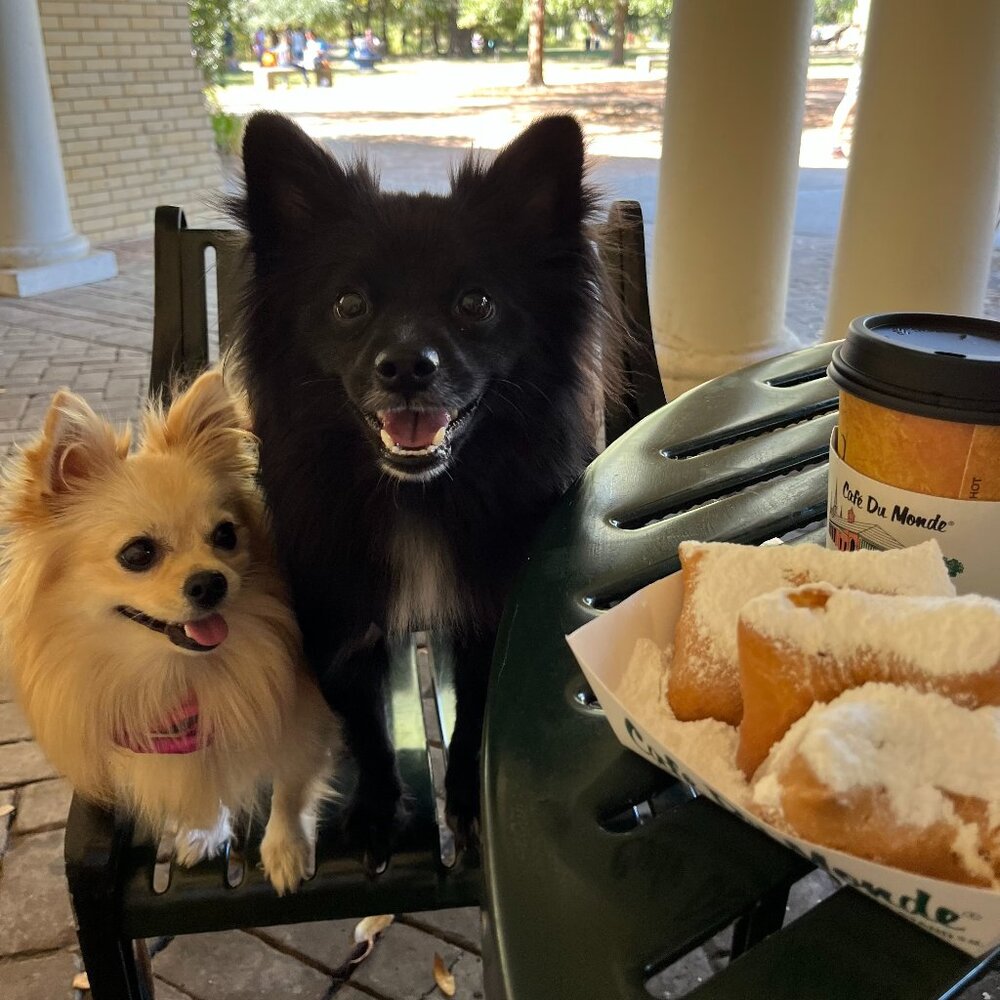 Meet your Posher, Maybe Cajun!